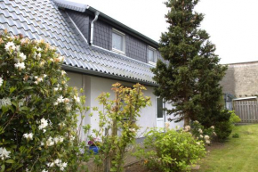 Muschel in Zingst